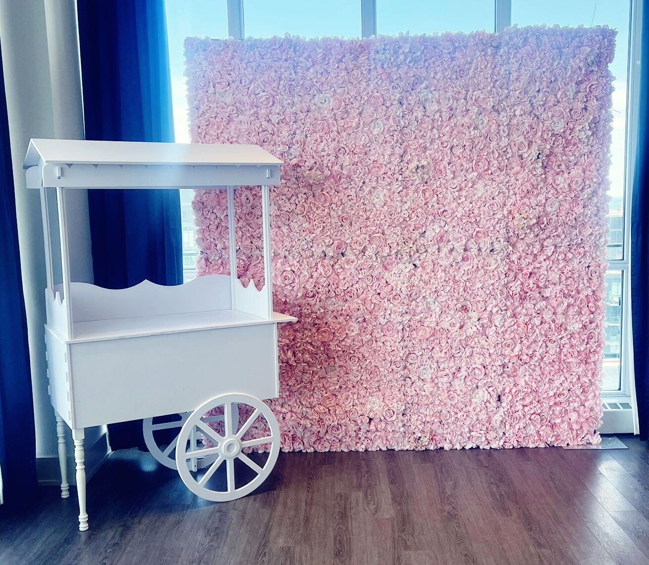 Candy cart photo booth in Barrie