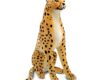 rent-giant-cheetah-stuffed-animal